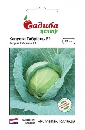 Семена капусты Габриель F1, 20шт, Nunhems, Голландия, семена Садиба Центр