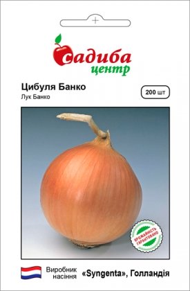 Насіння цибулі Банко F1, золотистого, 200шт, Syngenta, Голандія, насіння Садиба Центр