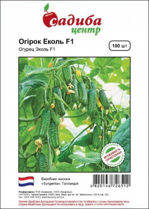 Насіння огірка Еколь F1, 100шт, Syngenta, Голландія, насіння Садиба Центр