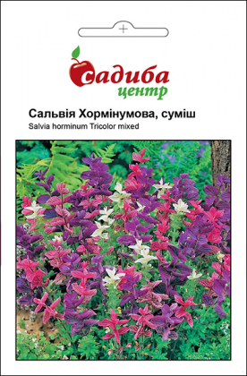Насіння сальвії Хормінумова, 0.2г, Hem, Голландія, Садиба Центр