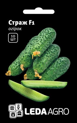 Насіння огірка Страж F1, 10шт, Yuksel, Туреччина, насіння Леда Агро