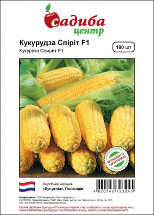 Семена кукурузы Спирит F1, 100 шт, Syngenta, Голландия, Садиба Центр