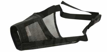 Coastal Best Fit намордник для собак, нейлон