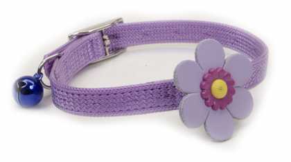 Ошейник для котов фиолетовая ромашка, Coastal Sassy, 1х25 см