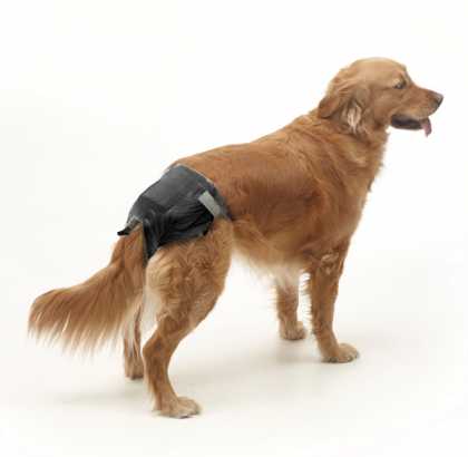 Savic КОМФОРТ НАППИ (Comfort Nappy) памперси для собак