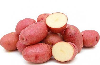 Насіннєву картоплю Рустер, 1 репродукція (пакет), 5кг