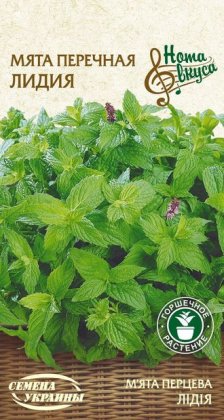 Семена мяты перечной Лидия, 0.1г (Семена Украины Нота Вкуса)