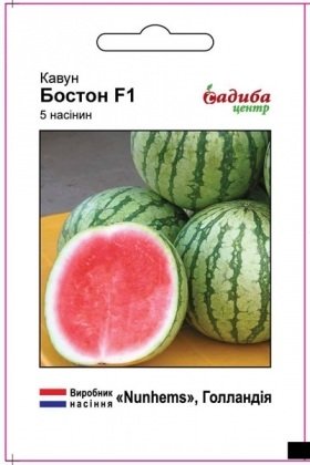 Насіння кавуна Бостон F1, 5шт, Nunhems, Голандія, насіння Садиба Центр