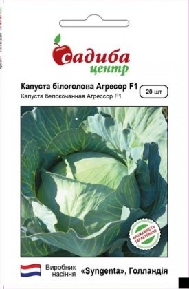 Насіння капусти Агресор F1, 20шт, Syngenta, Голандія, насіння Садиба Центр