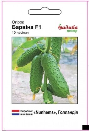 Насіння огірка Барвіна F1, 10шт, Nunhems, Голандія, насіння Садиба Центр