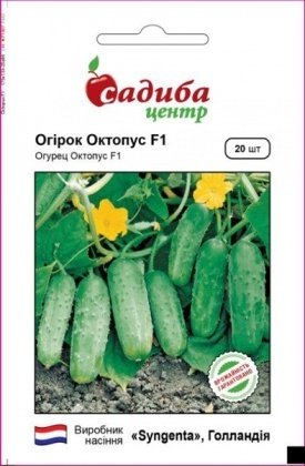Насіння огірка Октопус F1, 20шт, Syngenta, Голандія, насіння Садиба Центр