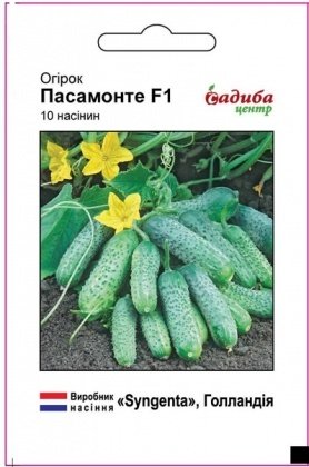 Насіння огірка Пасамонте F1, 10шт, Syngenta, Голандія, насіння Садиба Центр