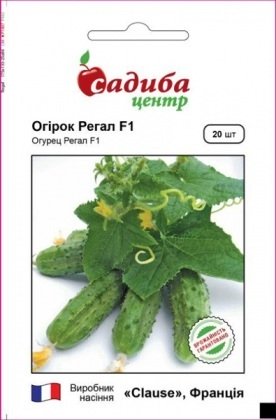 Насіння огірка Регал F1, 20шт, Clause, Франція, насіння Садиба Центр