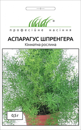 Насіння аспарагуса Шпренгера, 0.5 г, Hem, Голландія, Насіння квітів Pro seeds