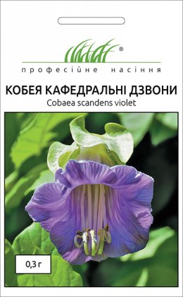 Насіння кобеї Кафедральні дзвони, 0.3 г, Hem, Голландія, Насіння квітів Pro seeds