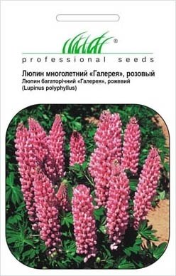 Насіння гарбуз декоративний солодкі  Клецкі, 0.5г, Hem, Польща, Професійне насіння