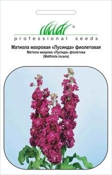 Насіння матіоли Лусинда фіолетова, 0.1 г, Hem, Голландія, Насіння квітів Pro seeds