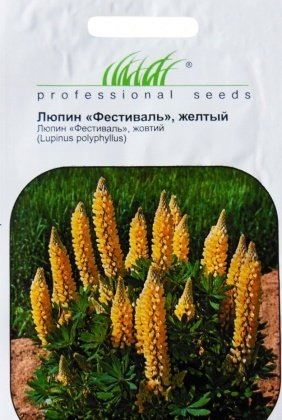 Насіння люпину багаторічного Фестиваль жовтий, 0.4 г, Hem, Голландія, Насіння квітів Pro seeds