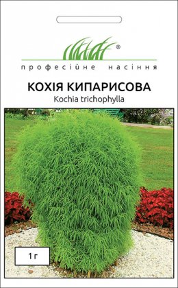 Насіння кохіі Кипарисова, 1г, Hem, Голландія, Насіння квітів Pro seeds