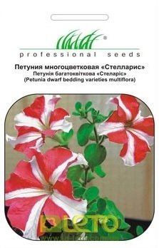 Насіння петунії карликової Стелларис, 0.08 г, Hem, Голландія, Насіння квітів Pro seeds