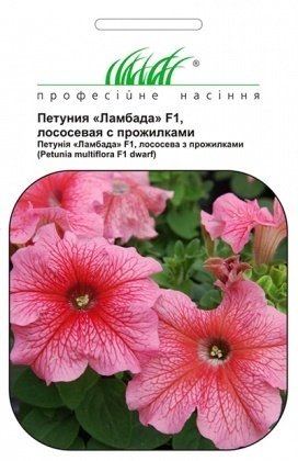 Семена петунии мультифлора Ламбада, 20шт, Hem, Голландия, Професійне насіння