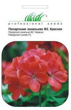 Насіння пеларгонії червоної, 0.04 г, Hem, Голландія, Насіння квітів Pro seeds