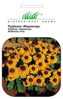 Насіння рудбекії Мармелад, 0.2 м, Hem, Голландія, Насіння квітів Pro seeds