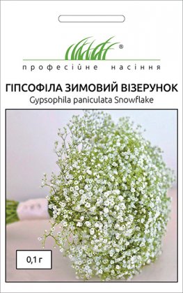 Насіння гіпсофіли Зимовий візерунок, 0.1 г, Hem, Голландія, Насіння квітів Pro seeds