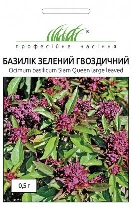 Насіння базиліка Гвоздичний, 0.5 г, Нім Zaden, Голландія, Насіння Pro seeds