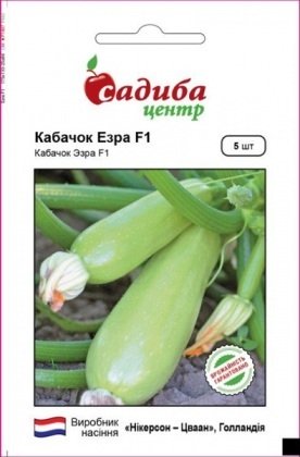 Насіння кабачка Езра F1, 5шт, Nickerson-Zwaan, Голландія, насіння Садиба Центр