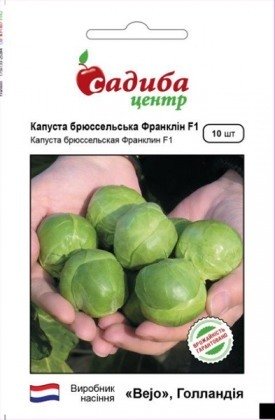 Насіння капусти брюссельської Франклін F1, 10шт, Bejo Zaden, Голландія, насіння Садиба Центр