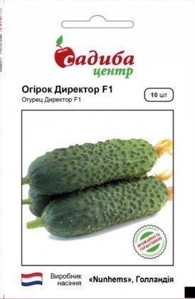 Насіння огірка Директор F1, 10шт, Nunhems, Голандія, насіння Садиба Центр