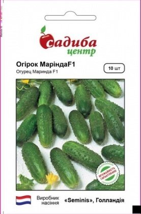 Насіння огірка Маринда F1, 10шт, Seminis, Голандія, насіння Садиба Центр