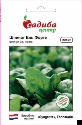 Насіння шпинату Ель Форте, 200шт, Syngenta, Голандія, насіння Садиба Центр