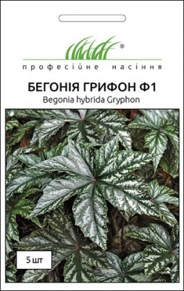 Семена бегонии Грифон, 5шт, Pan American, США, Професійне насіння