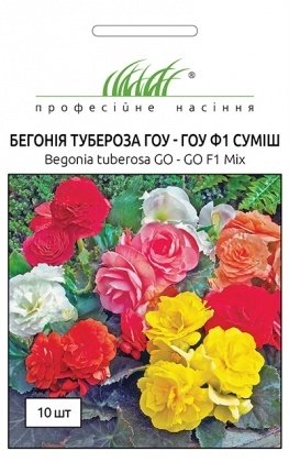 Насіння бегонії бульбової Гоу-Гоу суміш, 10шт, Syngenta, Голандія, Насіння квітів Pro seeds