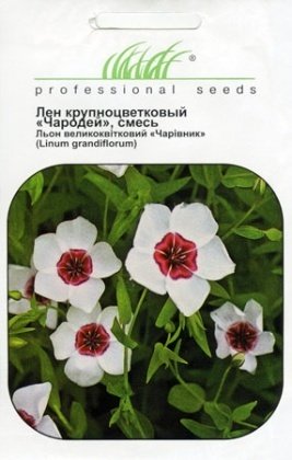 Насіння льону Чарівник суміш, 0.1 г, Hem, Голландія, Насіння квітів Pro seeds