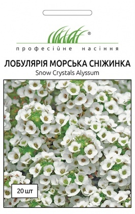 Насіння лобулярії Морська сніжинка, 20шт, Pan American, США, Насіння квітів Pro seeds