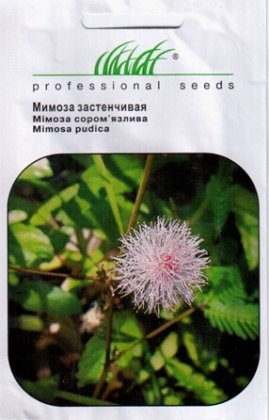 Насіння мімози сором'язливої, 0.5г, Hem, Голландія, Насіння квітів Pro seeds