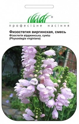 Насіння фізостегії Віргінська суміш, 0.1 г, Hem, Голландія, Насіння квітів Pro seeds