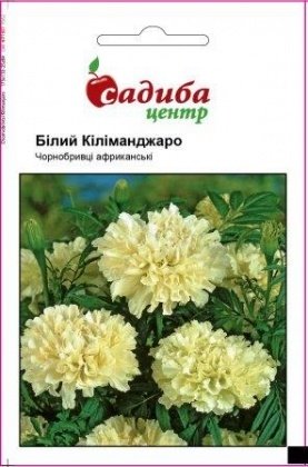 Насіння чорнобривців Білий Кіліманджаро, 0.1 г, Hem, Голландія, Садиба Центр