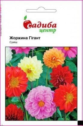 Семена георгины Гигант, смесь 0,1г, Hem, Голландия, Садиба Центр