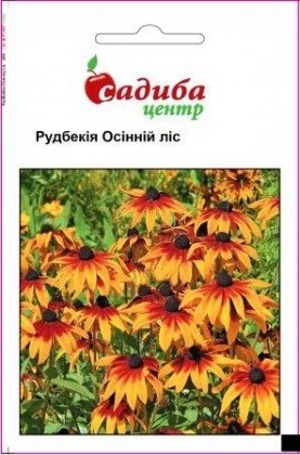 Насіння рудбекії Осінній Ліс, 0.2 м, Hem, Голландія, Садиба Центр