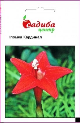 Насіння іпомеї Кардинал, 0.5 г, Hem, Голландія. Садиба Центр