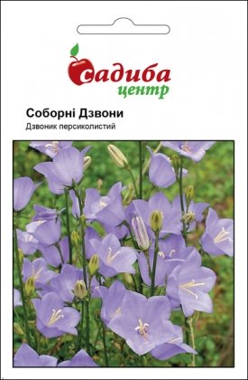Насіння дзвоника персиколисного Соборні Дзвони, 0.2 м, Hem, Голландія, Садиба Центр