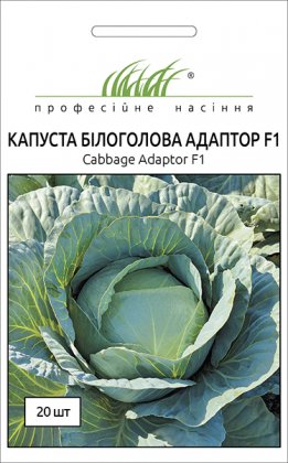 Насіння капусти б/к пізньої Адаптор F1, 20шт, Syngenta, Голандія, Насіння Pro seeds