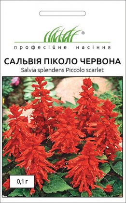 Насіння сальвії низькорослої Піколо червона, 0.1 г, Hem, Голландія, Професійне насіння