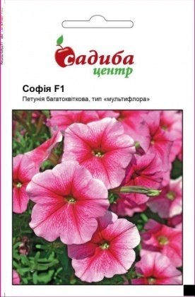 Насіння петунії багатоквіткової Софія F1, 10гранул, Cerny, Чехія, Садиба Центр