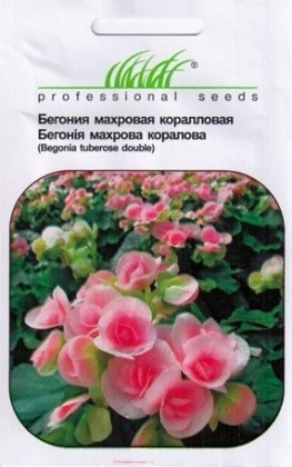 Насіння бегонії махрова коралова, 10шт, Hem, Голландія, Насіння квітів Pro seeds
