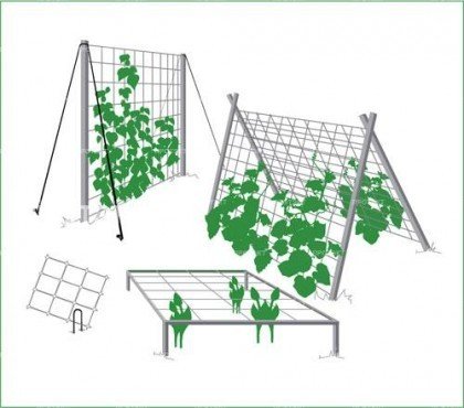 Сітка шпалерна для квітів 1.2х10м, вічко 15х15см